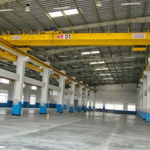 Double Girder EOT Cranes Manufacturers in India