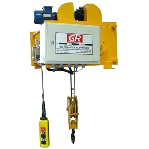 Eot Crane manufacture in ludhiana