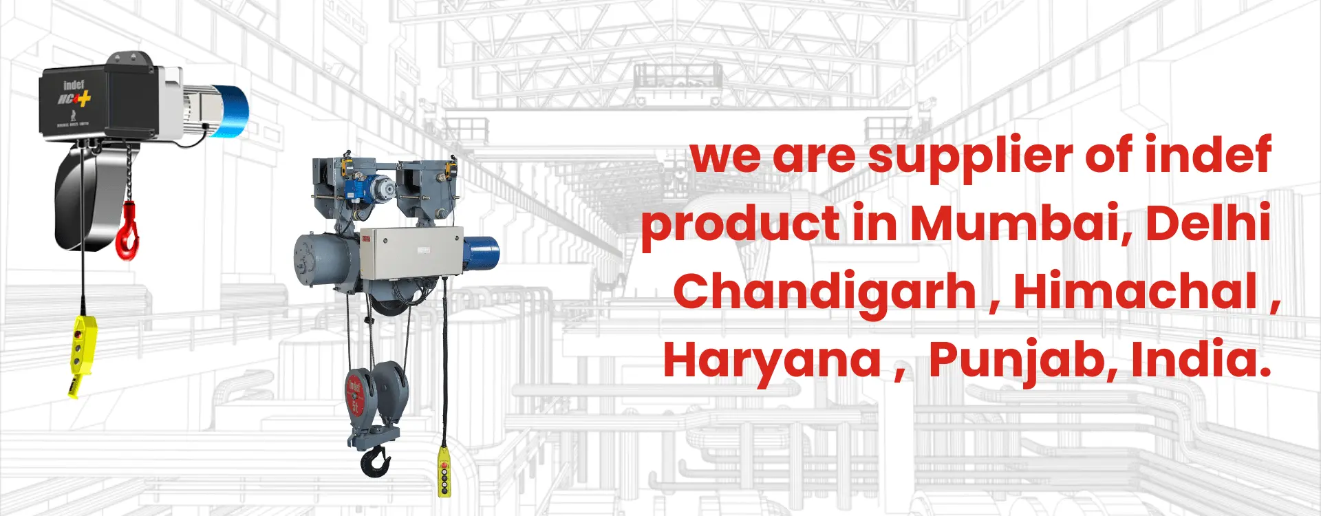 Eot Crane manufacture in ludhiana